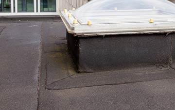 disadvantages of Traps Green flat roofs