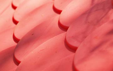 Traps Green plastic roof costs