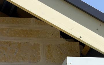 soffit repair Traps Green