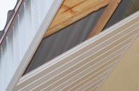 rated Traps Green soffit repair companies